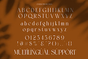 Brotilen Elegant Ligature Serif, a Serif Font by Alfinart (Thumbnail 9 of 10)