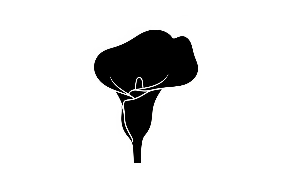 Black Lily Flower Vector Bundle, an Illustration by Designs_River (Photo 16 of 51)
