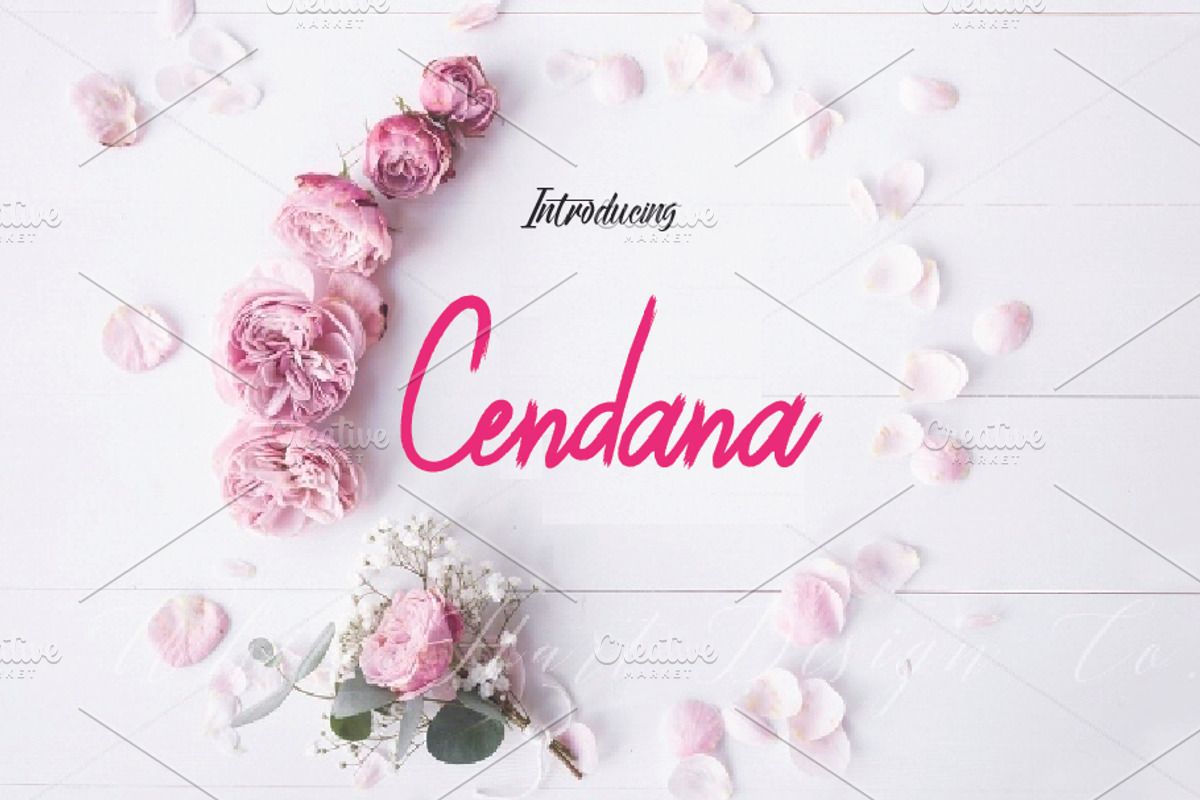 Cendana Brush