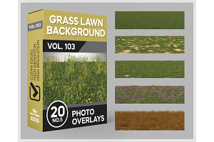 20 Grass Lawn Background, a Nature Photo by KenScape