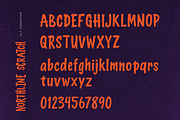 Northline Scratch – Horror Brush, a Handwritten Font by Youthlabs Studio (Thumbnail 14 of 15)