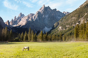 Mountains landscape and lonely horse, a Nature Photo by BOOCYS