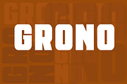 Grono font family, a Blackletter Font by vlad.berla (Thumbnail 1 of 8)