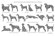 Sighthound and Pariah dog Silhouette, an Animal Illustration by pet design shop (Thumbnail 6 of 9)
