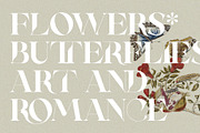 RATHER RISQUE - Ligature Serif Font, a Serif Font by SilverStag Type Foundry (Thumbnail 18 of 27)
