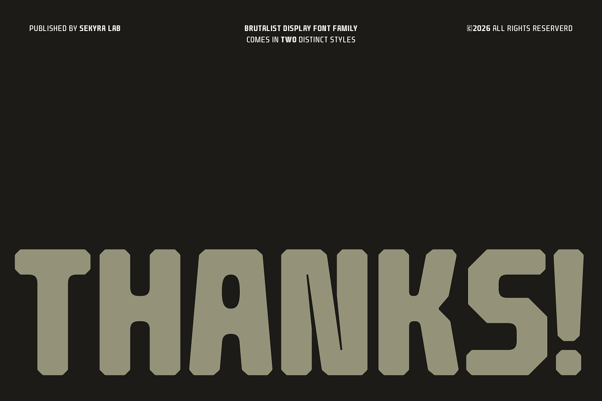 Barend - Brutalist Display Sans Font, a Sans Serif Font by Sekyra Lab (Photo 16 of 16)