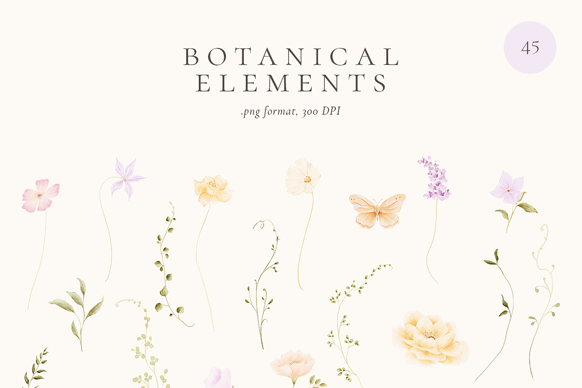 Dreamy Spring Watercolor Wildflowers, a Decorative Illustration by Altea Design Studio (Photo 12 of 15)