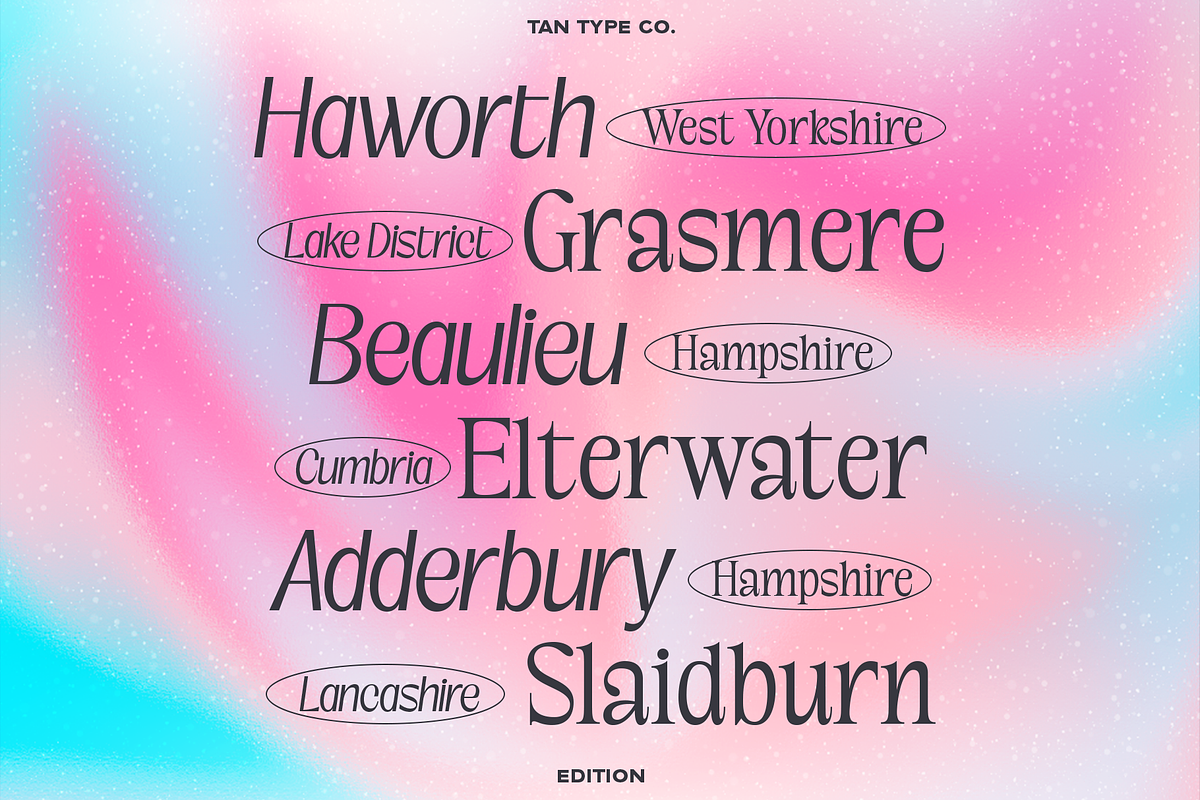 TAN-EDITION, a Sans Serif Font by TanType (Photo 5 of 10)
