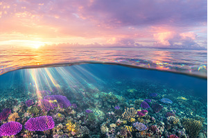Stunning sunset over vibrant coral, a Nature Photo by Lermont51