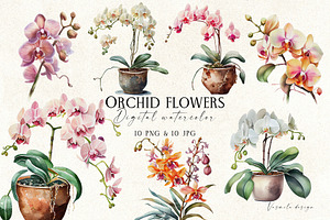 Watercolor Orchid Flowers