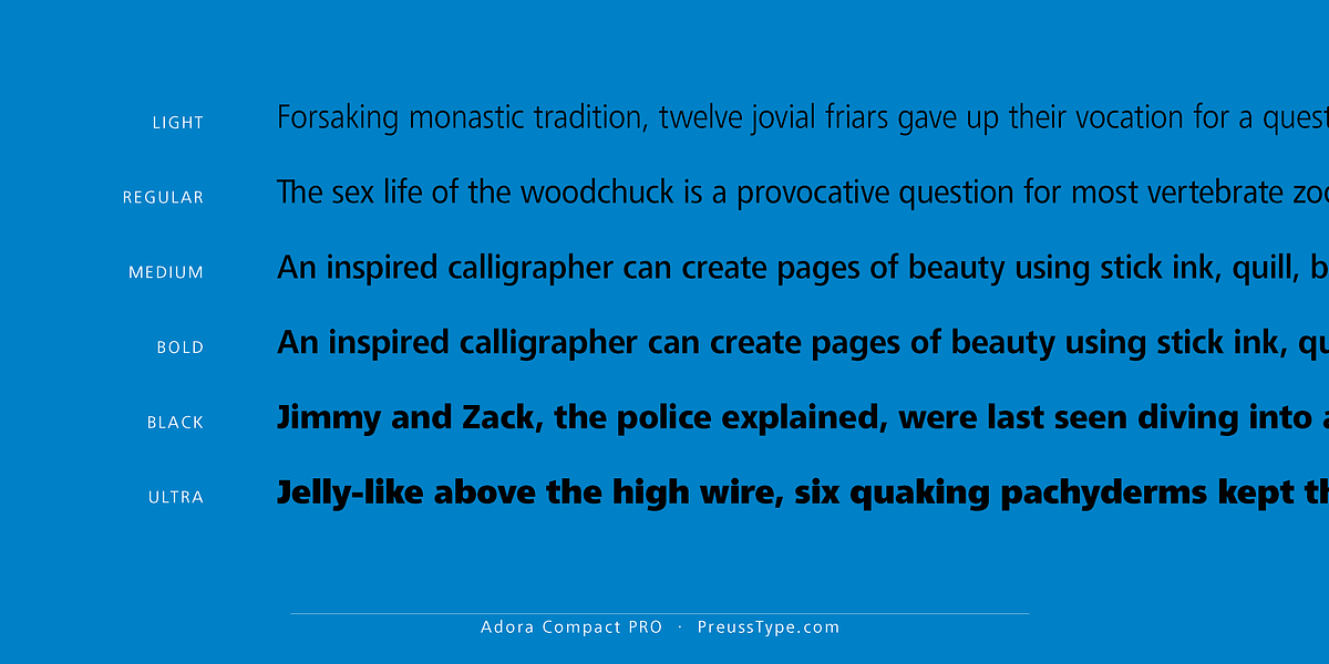 Adora PRO, a Sans Serif Font by preussTYPE (Photo 15 of 40)