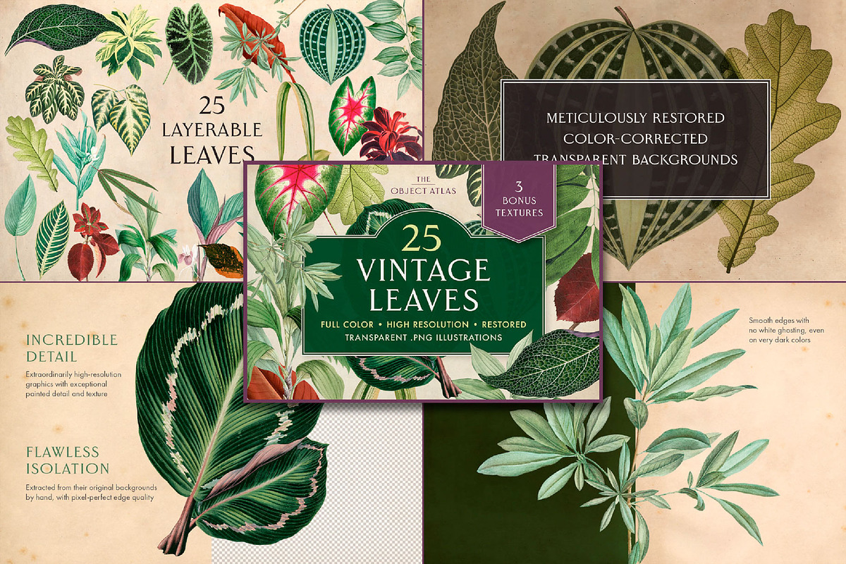 Vintage Bundle – 60% Off! – 21 Packs, an Object Graphic by The Object Atlas (Photo 18 of 26)