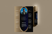 100 Resume - luxury templates, a Resume Template by Hamed Studio (Thumbnail 11 of 15)