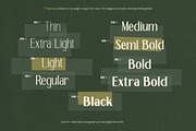 TT Remora – Modern Sans Display, a Sans Serif Font by truetype (Thumbnail 3 of 15)