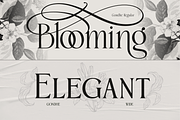 Gondhe - Elegant Serif with Swashes, a Serif Font by Burntilldead (Thumbnail 4 of 12)