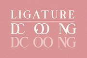 Domary - Modern Elegant Luxury Serif, a Serif Font by Qweera Studio (Thumbnail 9 of 12)
