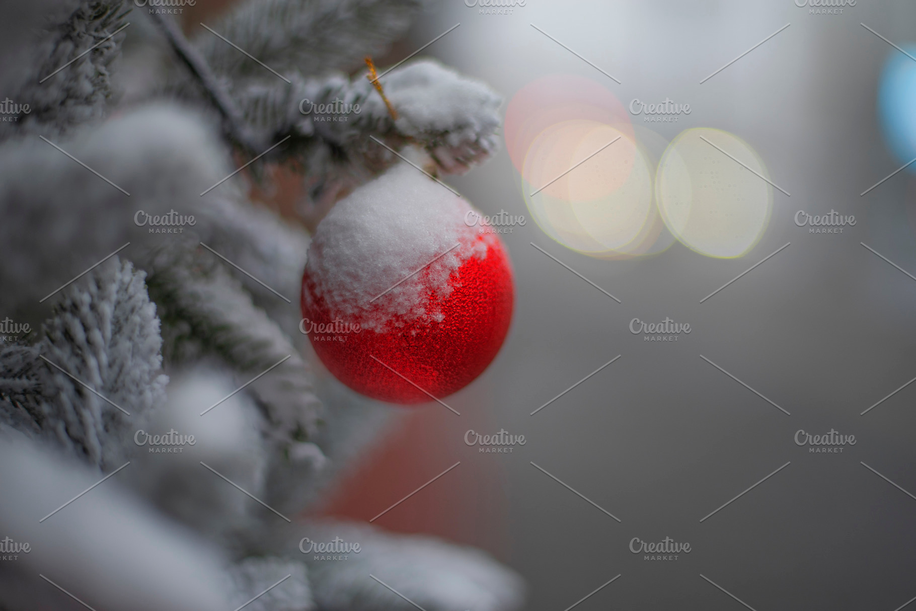 A New Year's tree on a city street on Christmas Eve, a Photo by Pictures for you!!!!!!!!!