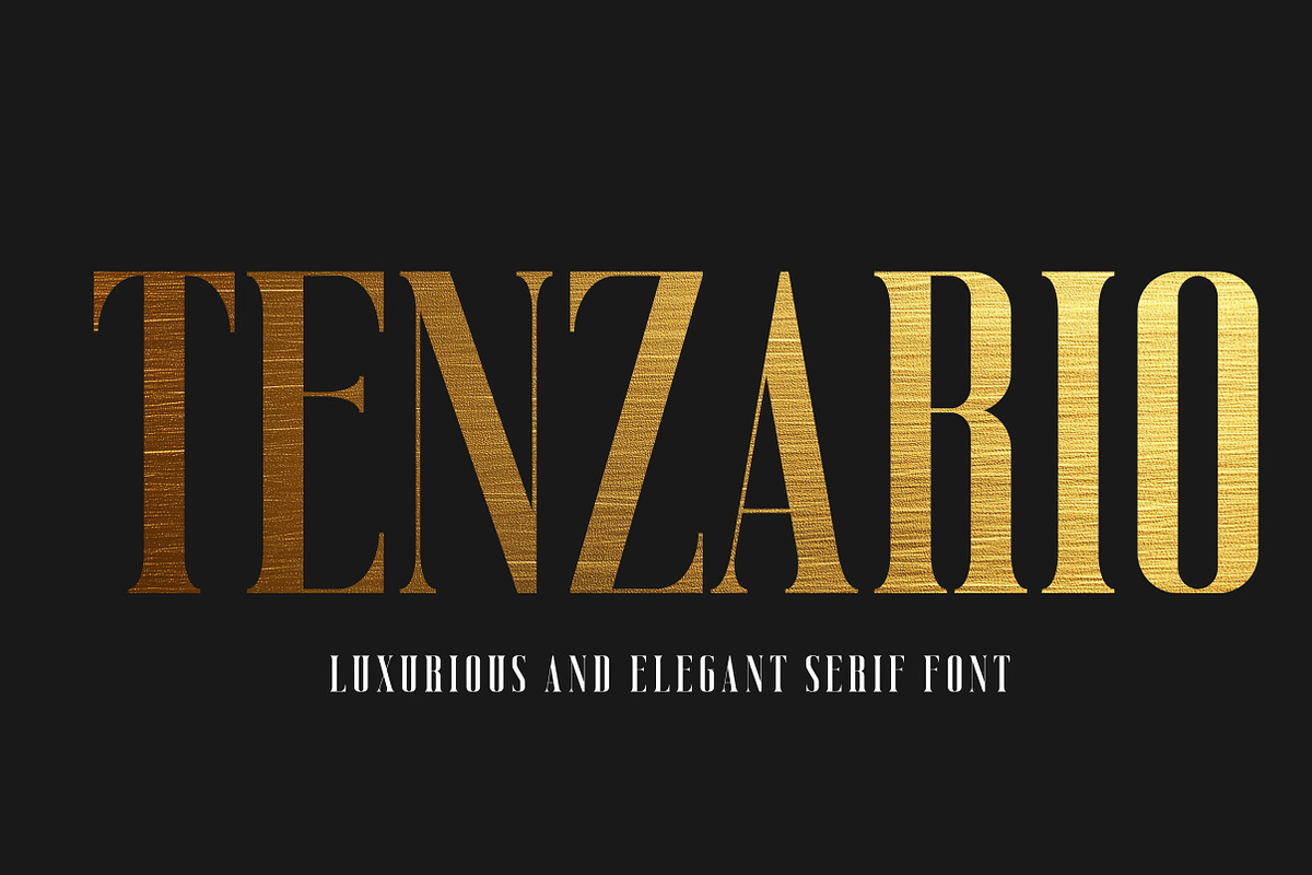 Tenzario | Elegant Serif Typeface, a Serif Font by Artdez (Photo 1 of 5)