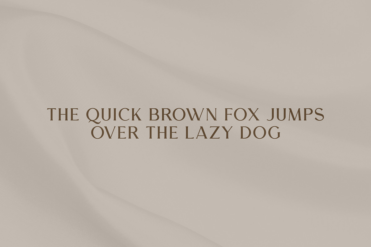 Melion, a Serif Font by OWL KING (Photo 3 of 13)