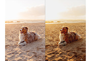 Joselin | Photoshop Actions, an Action Add-On by Filterlate (Thumbnail 6 of 8)