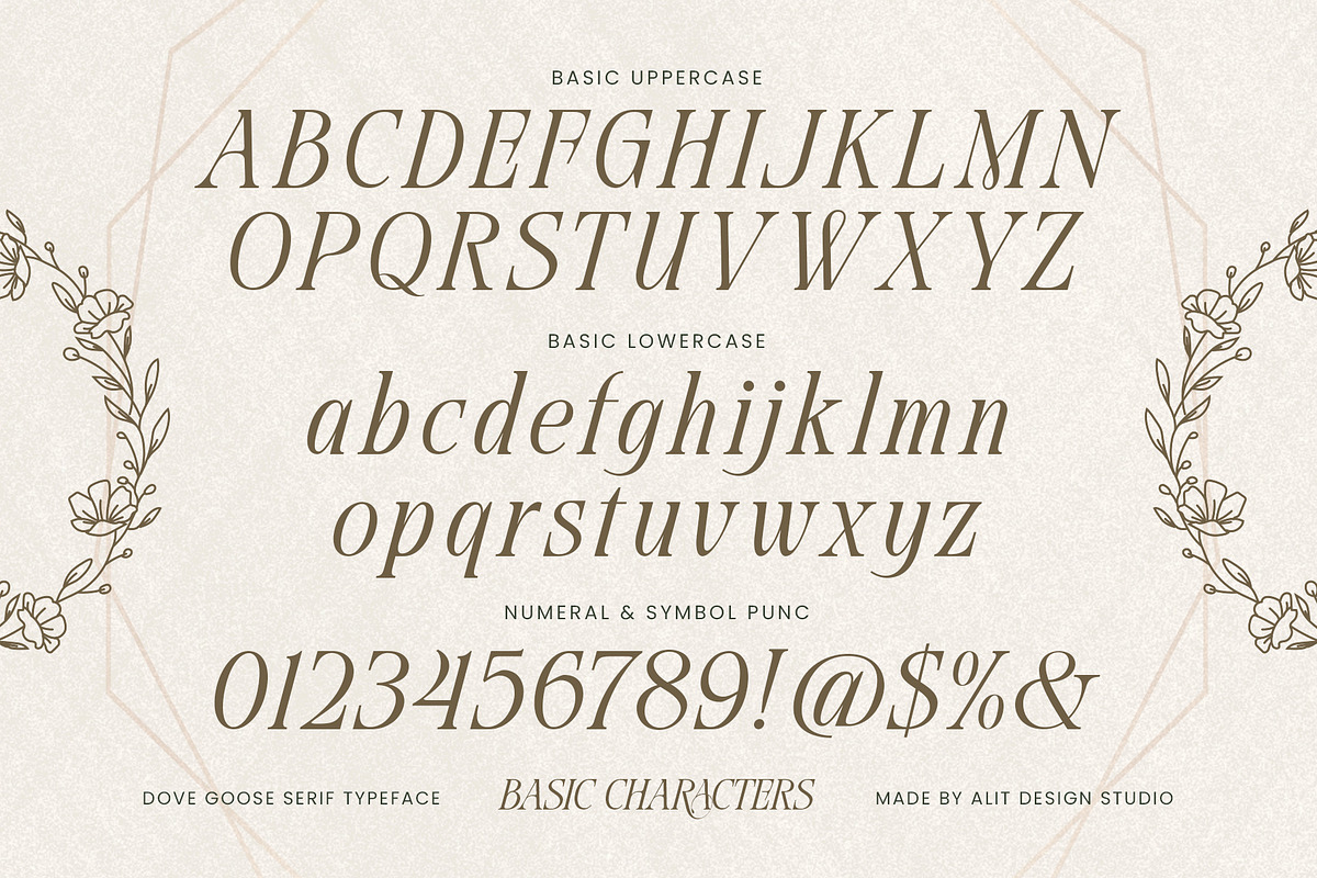 Dove and Goose Typeface, a Serif Font by alit design (Photo 6 of 20)