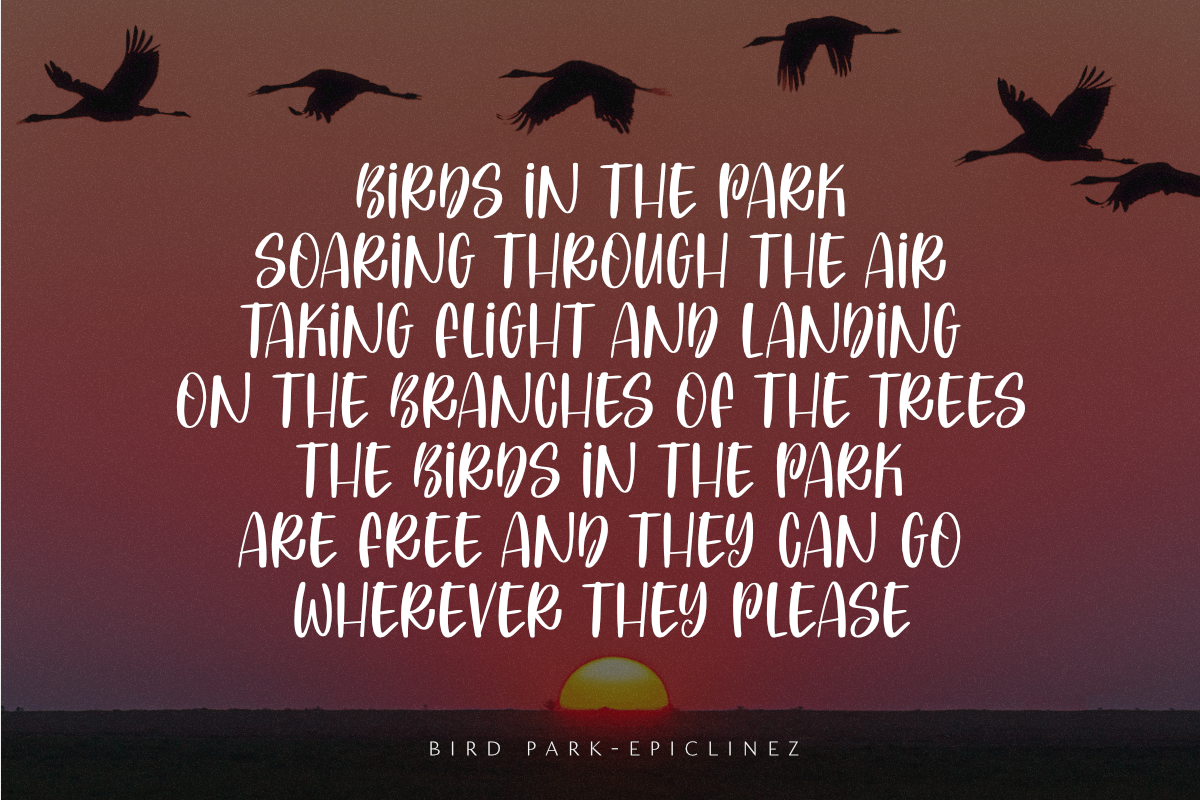 Bird Park, a Font by Epiclinez (Photo 2 of 5)