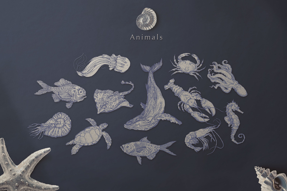 Silver Breeze Collection, a Decorative Illustration by Michael Rayback Design (Photo 2 of 10)