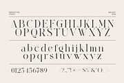 Malkist Modern Serif Font, a Serif Font by Perfectype (Thumbnail 8 of 8)