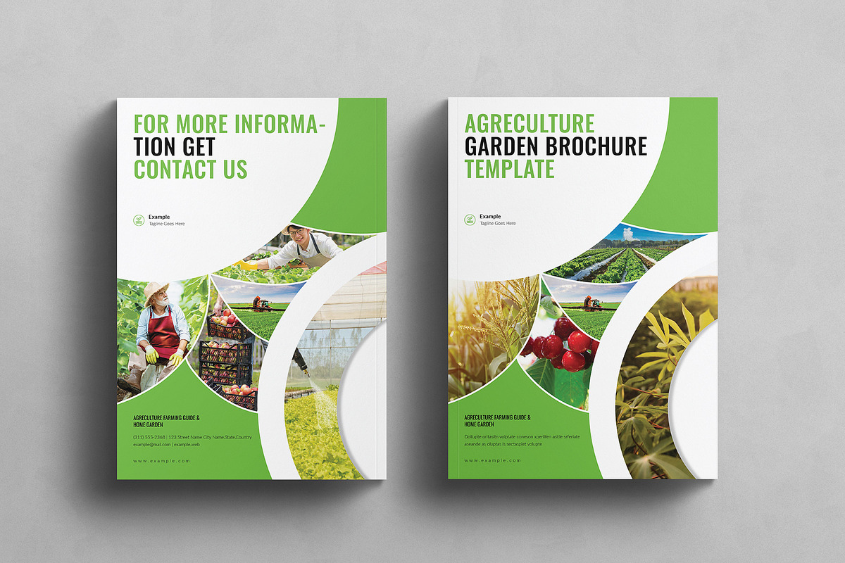 Agriculture Garden Brochure Template, a Brochure Template by E-Type (Photo 7 of 7)