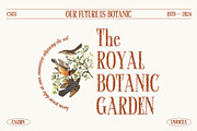 Calben Unfocus, a Serif Font by Craft Supply Co. (Thumbnail 3 of 8)