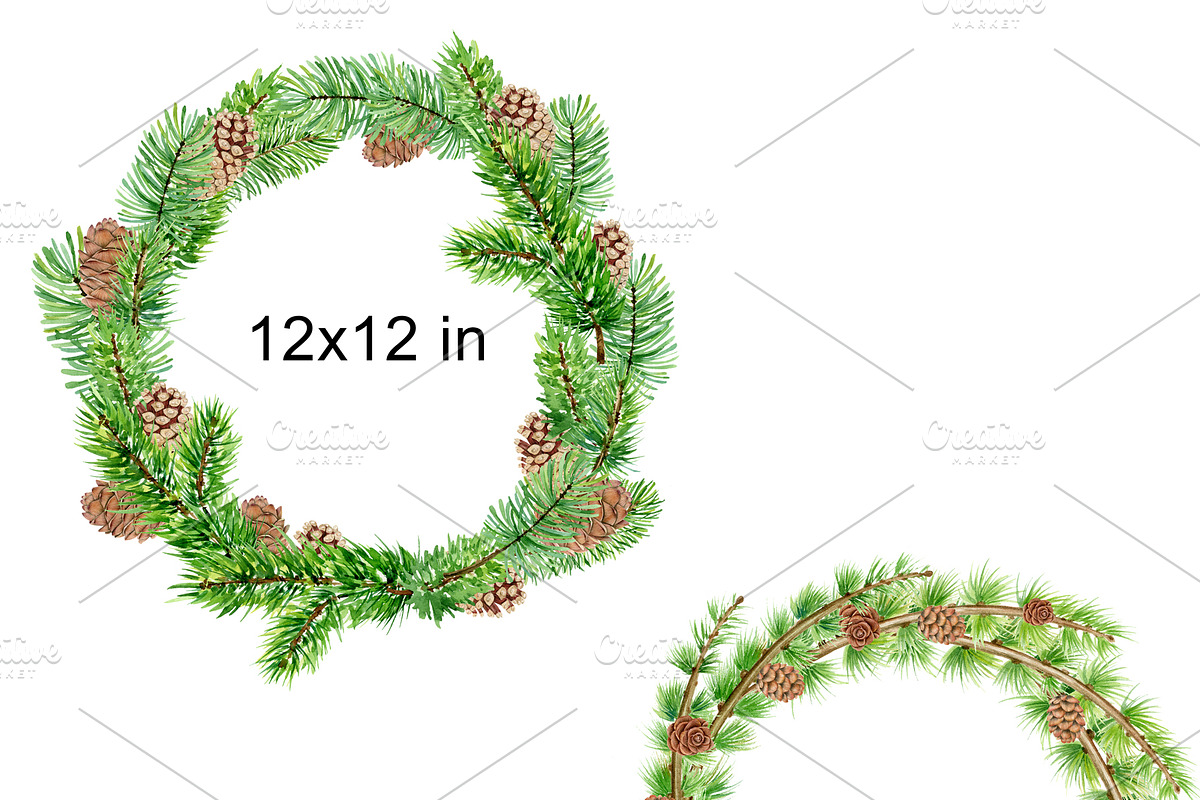 Watercolor pine cones clipart set, an Illustration by svetodesign (Photo 5 of 9)