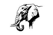 Elephant Vector Black Clipart Set, an Animal Illustration by balal (Thumbnail 3 of 11)