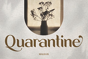 Malegis, a Sans Serif Font by Skypia (Thumbnail 2 of 13)
