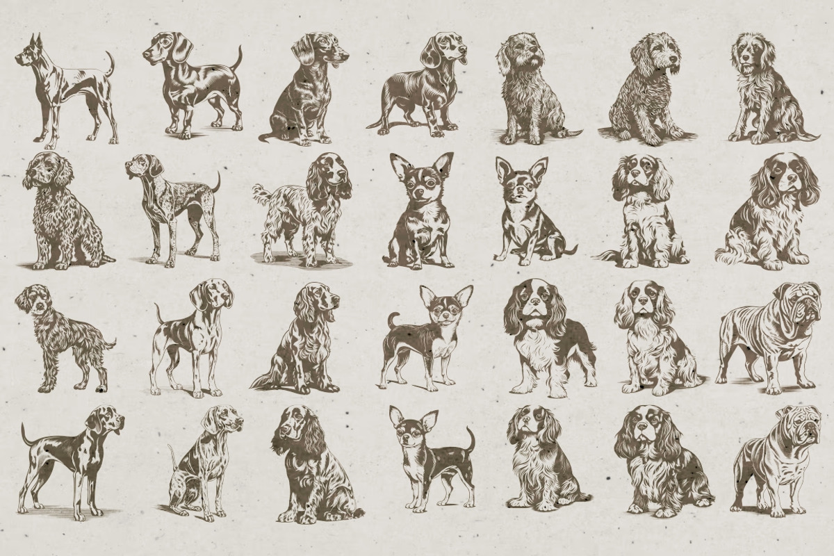 215 Dog Illustrations, an Animal Illustration by Nocturnal Wolf (Photo 7 of 14)