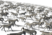 Low Poly Horses Pack, an Animal 3D Model by Tedi Permana (Thumbnail 2 of 28)