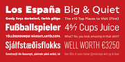 Uniform, a Sans Serif Font by Miller Type Foundry (Thumbnail 4 of 8)