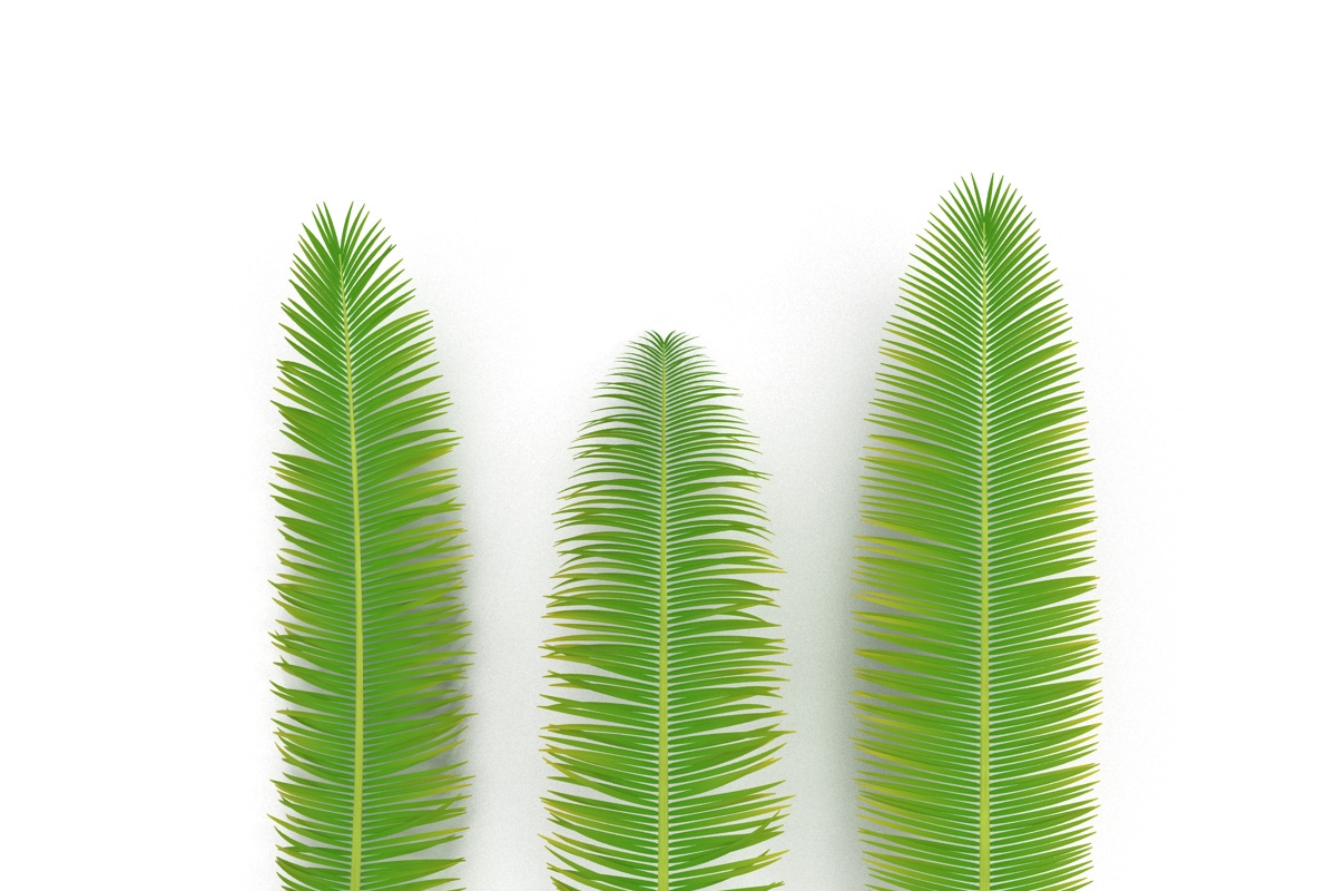 Palm branch, an Environmental 3D Model by AndrewWhite (Photo 2 of 10)
