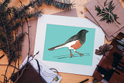 Vector Bird Line Art Illustrations, an Illustration by MyNatureGraphics (Thumbnail 3 of 4)