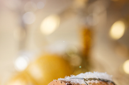 Champagne cork containing year, new, and 2015 preview 6