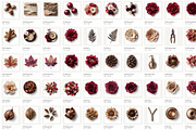 Autumn Botanicals PNG Objects, an Object Graphic by Iconogenic (Thumbnail 2 of 5)