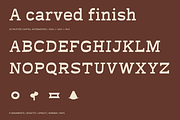 Terra Fable Sculpted Slab Serif, a Slab Serif Font by Colorsfav (Thumbnail 10 of 11)