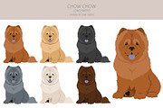 Chow chow (longhaired) clipart, an Animal Illustration by pet design shop (Thumbnail 2 of 9)