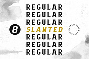 Pittsbrook Serif, a Serif Font by Twicolabs Fontdation (Thumbnail 5 of 12)