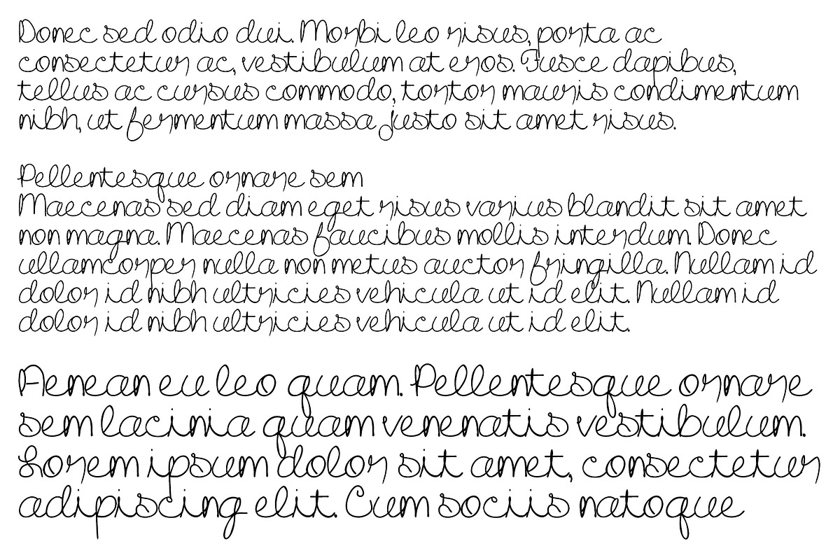 Font Birdy Cursive Script Fun Cute, a Script Font by PageLightStudios (Photo 4 of 5)