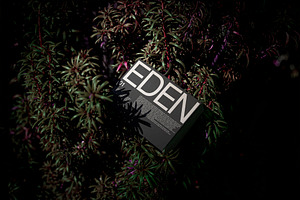 FORMAT EDEN ECO BOX 01