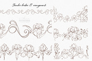 Iris Botanical Line Floral Vector, a Decorative Illustration by katmonne (Thumbnail 6 of 14)