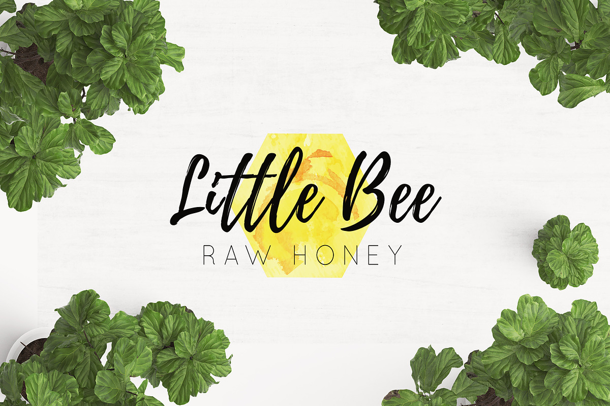 Healthy Living Logo Pack VOL1., a Branding & Logo Template by Nordic.Arg (Photo 4 of 7)