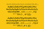 Bluto | Sans Serif Type Family, a Sans Serif Font by StudioWorks (Thumbnail 3 of 12)