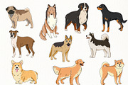 Dogs breed clipart illustrations., an Animal Illustration by svetodesign (Thumbnail 2 of 8)