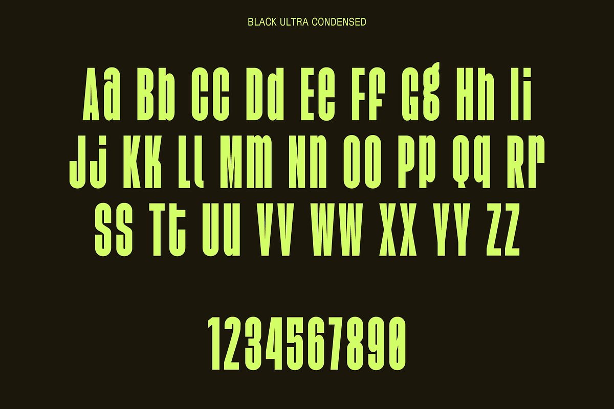 Agharti Bold Display Family, a Sans Serif Font by That That Creative (Photo 6 of 16)